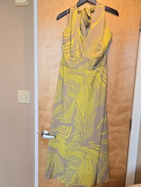 NWT Womans Banana Republic Dress